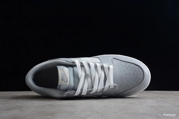 DJ6188-001 Low Two Dunk Tone Grey NNike 0124